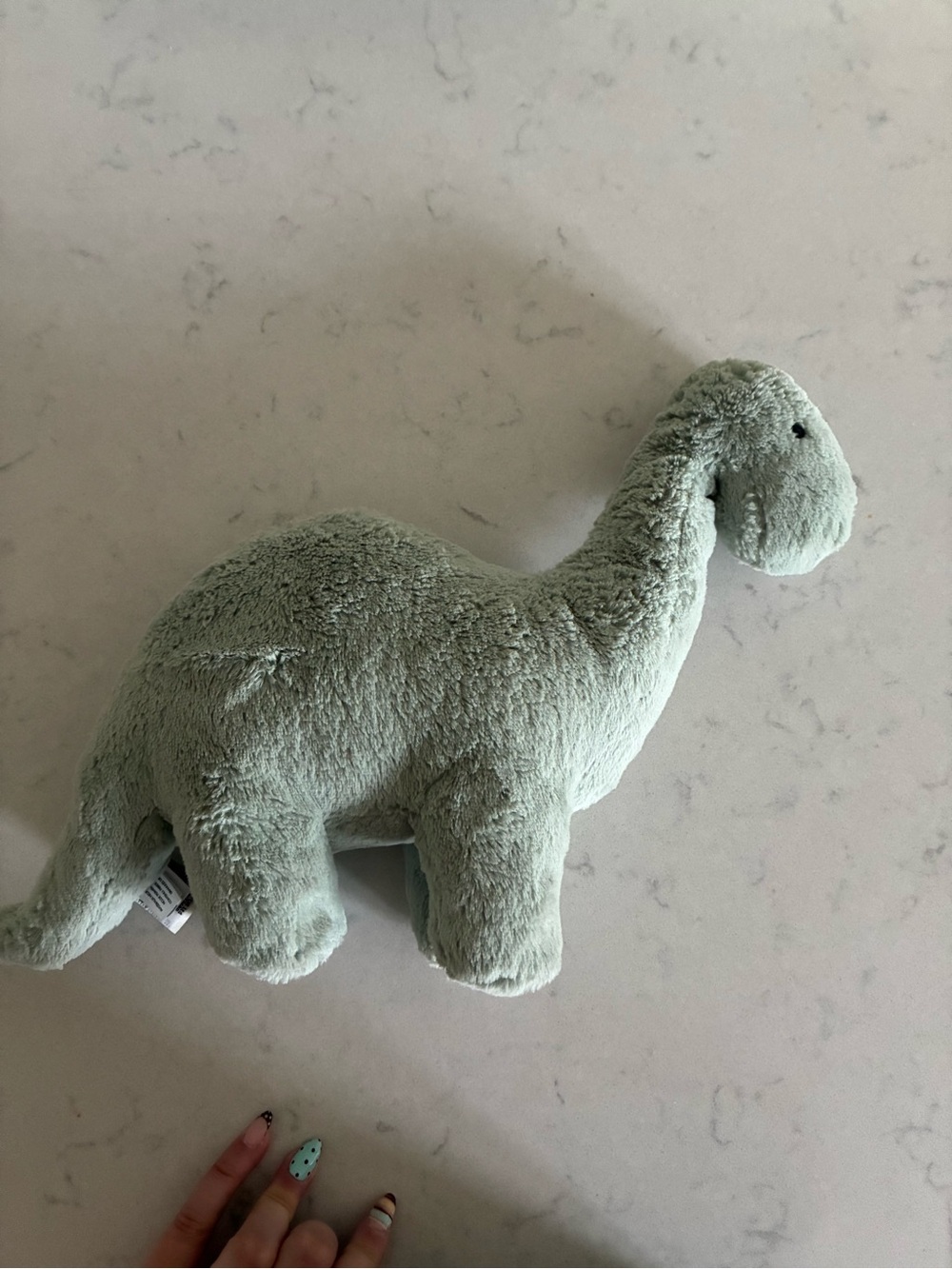Jellycat Fossilly Brontosaurus baby green dinosaur plush 💘
Excellent condition